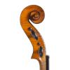 法國小提琴古琴：M. Couturieux, Mirecourt C., 1910
